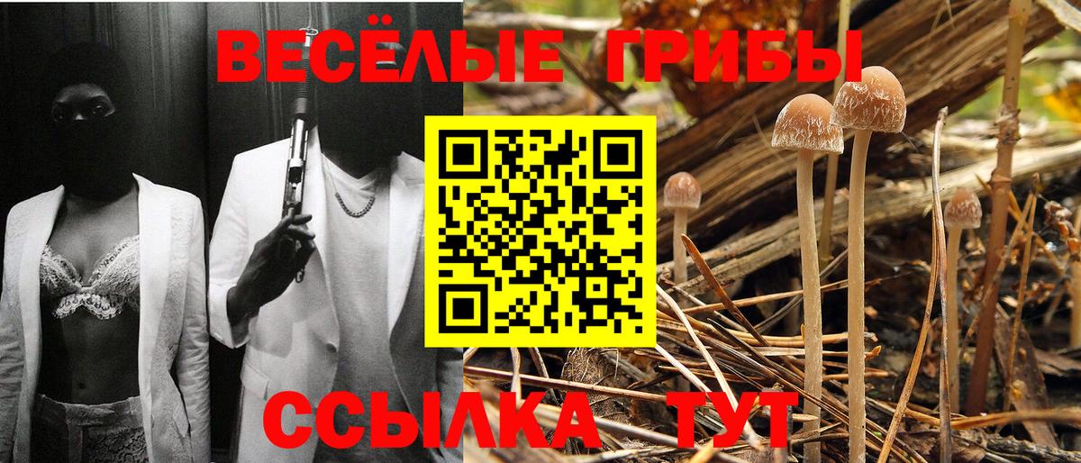 Галлюциногенные грибы MAGIC MUSHROOMS Всеволожск
