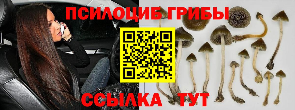 Псилоцибиновые грибы Psilocybine cubensis  Галлюциногенные грибы GOLDEN TEACHER  купить наркотик  Всеволожск  Вход с VPN 